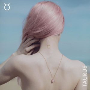 Horoscope Kit - Taurus