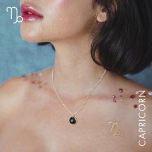 Horoscope Kit - Capricorn