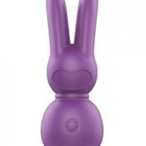 Femmefunn Funn Buddies Stubby 2 Massager Purple