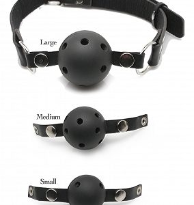 Ball Gag Training System