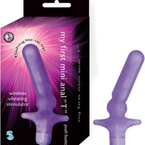 My first mini anal t - purple