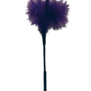 Sex & Mischief feather tickler - purple