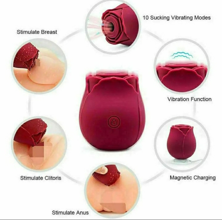 Insatiable Pleasures Rose Bud Rechargeable Suction – Vibrator Rose Toy –  Kinky Hut
