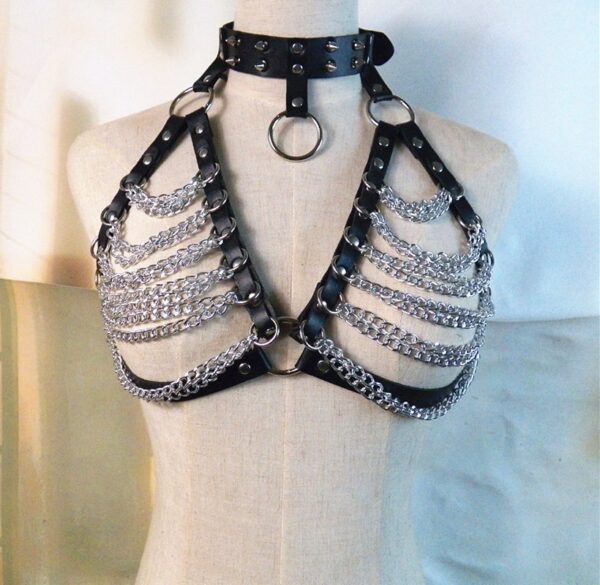 Silver BDSM Caged Bra Top 3
